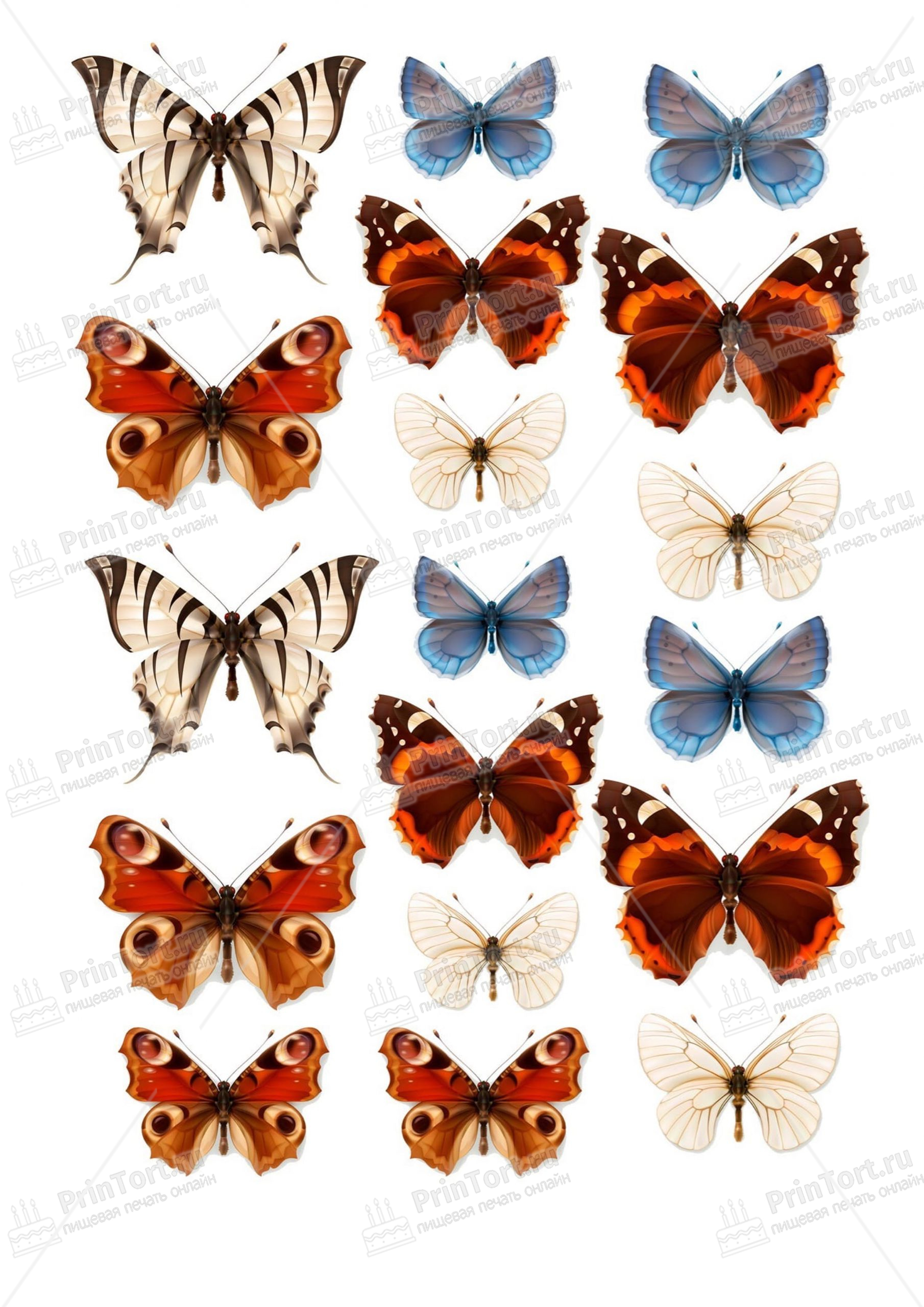 Бабочки для торта картинки для печати. Торт «бабочки». Бабочки для печати на торт. Вафельные бабочки. Макет бабочки для торта.