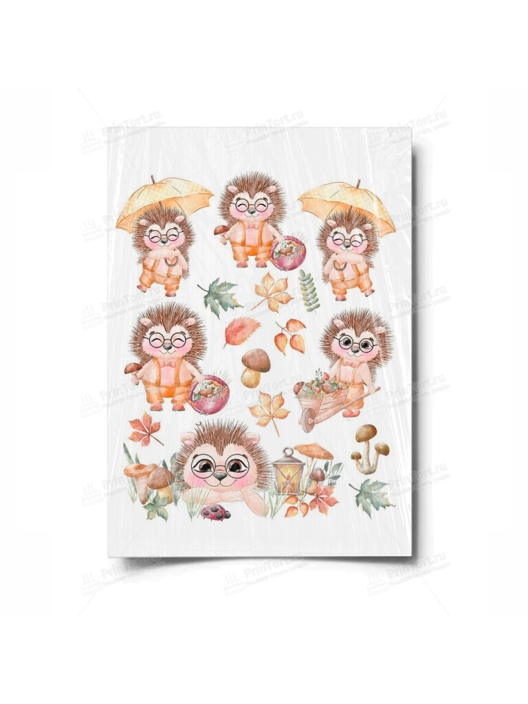 Сахарная и вафельная Картинка для торта «Ёжик» — PT100336 | Пищевая печать на торте, сахарной, вафельной бумаге -> PrinTort.ru