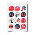 Сахарная и вафельная Картинка для капкейков «Леди Баг» — PT101057 | Пищевая печать на торте, сахарной, вафельной бумаге -> PrinTort.ru