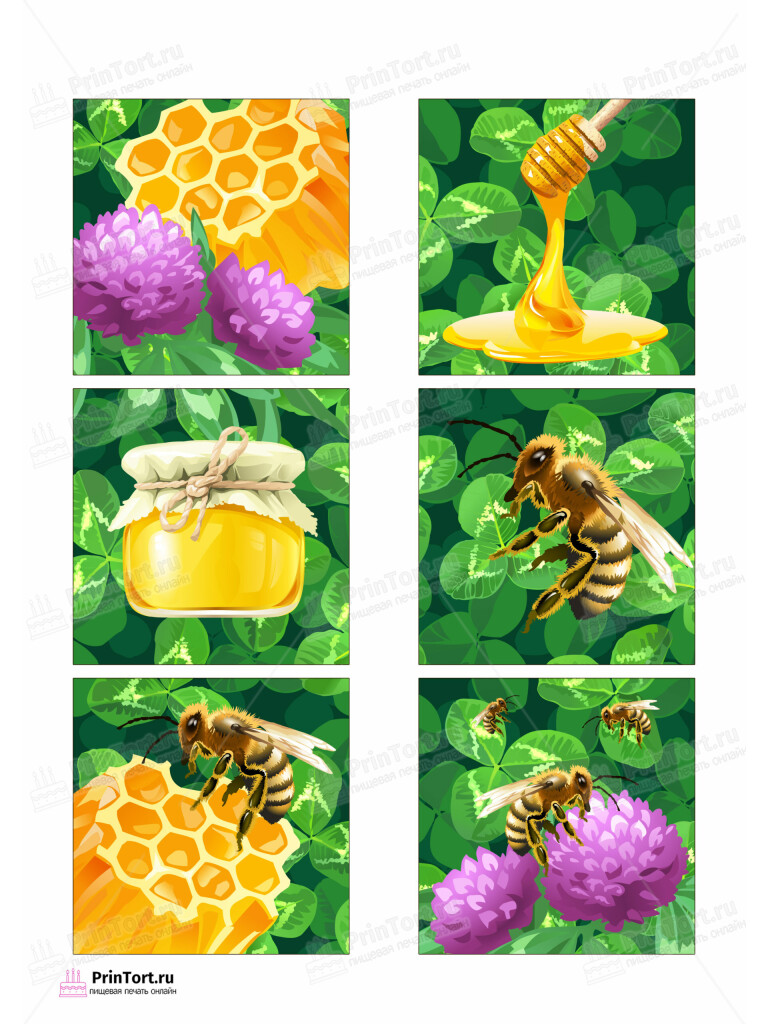 Сахарная и вафельная Картинка для торта «Пчеловодство» — PT102150 | Пищевая печать на торте, сахарной, вафельной бумаге -> PrinTort.ru