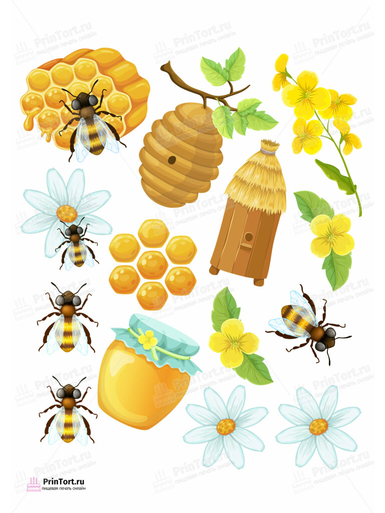 Сахарная и вафельная Картинка для торта «Пчеловодство» — PT102157 | Пищевая печать на торте, сахарной, вафельной бумаге -> PrinTort.ru