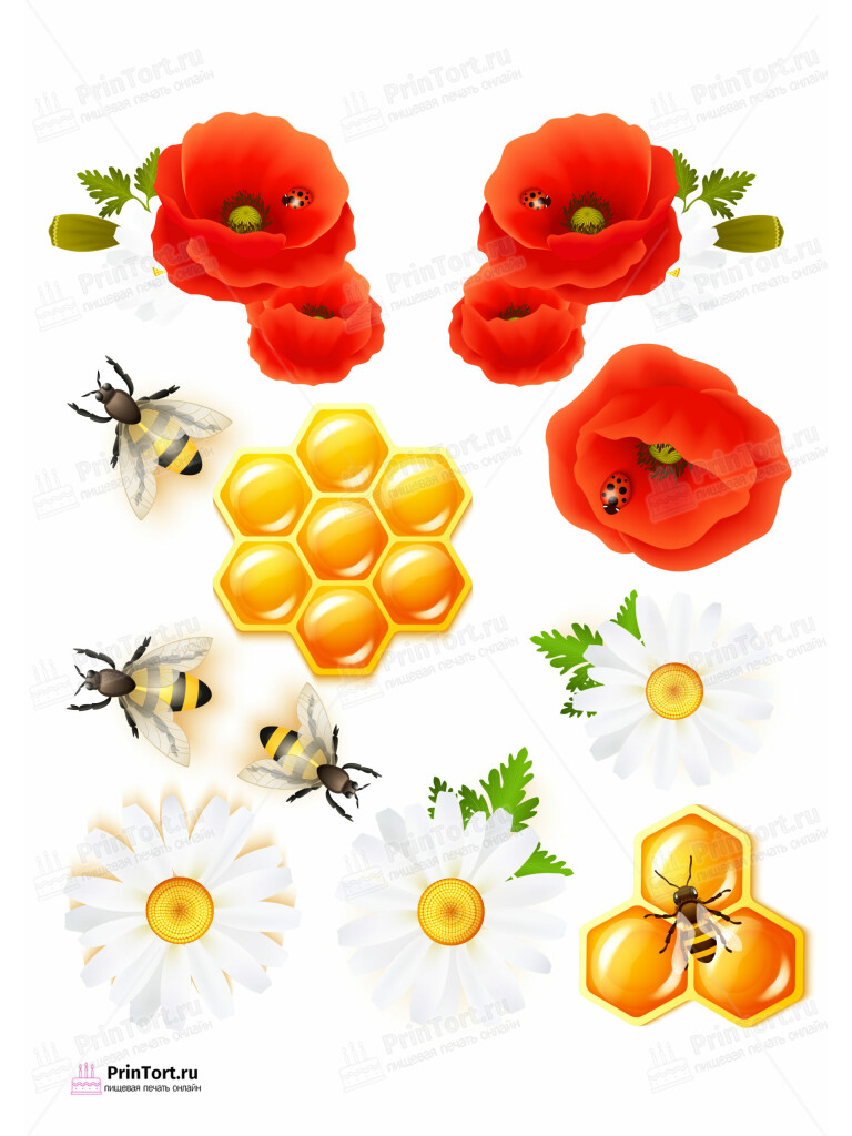 Сахарная и вафельная Картинка для торта «Пчеловодство» — PT102159 | Пищевая печать на торте, сахарной, вафельной бумаге -> PrinTort.ru