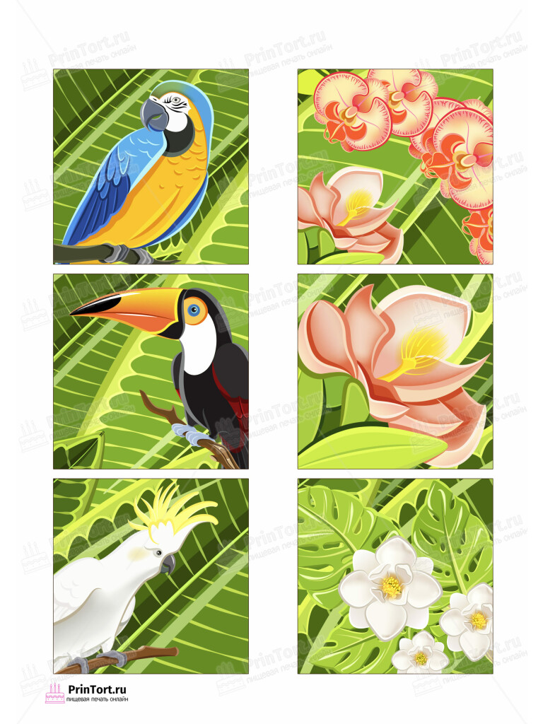 Сахарная и вафельная Картинка для торта «Путешествия» — PT102360 | Пищевая печать на торте, сахарной, вафельной бумаге -> PrinTort.ru