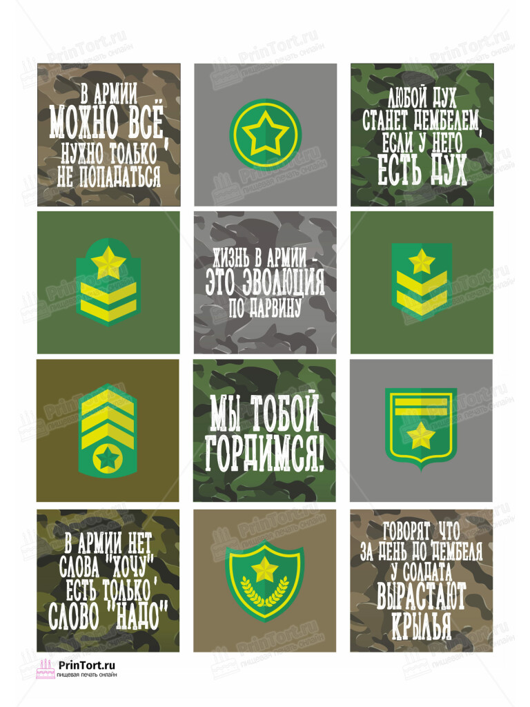 Сахарная и вафельная Картинка для торта «Дембель» — PT102473 | Пищевая печать на торте, сахарной, вафельной бумаге -> PrinTort.ru