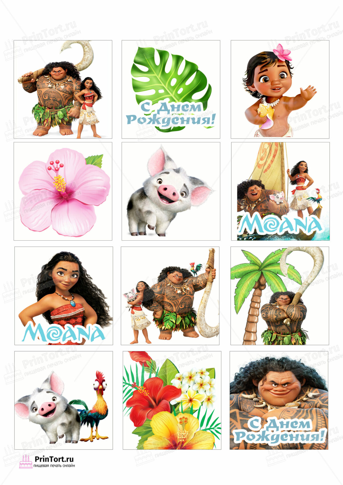 Сахарная и вафельная Картинка для торта Моана «Moana» — PT102549 | Пищевая печать на торте, сахарной, вафельной бумаге -> PrinTort.ru