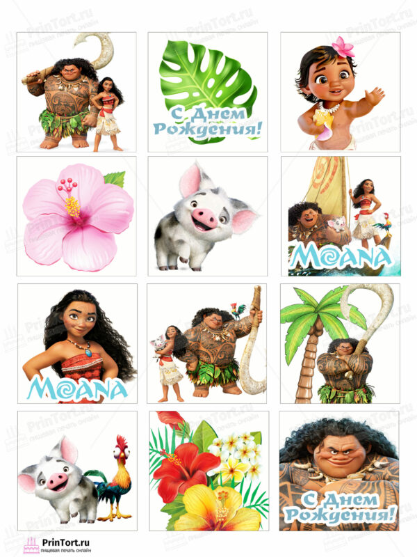 Сахарная и вафельная Картинка для торта Моана «Moana» — PT102549 | Пищевая печать на торте, сахарной, вафельной бумаге -> PrinTort.ru