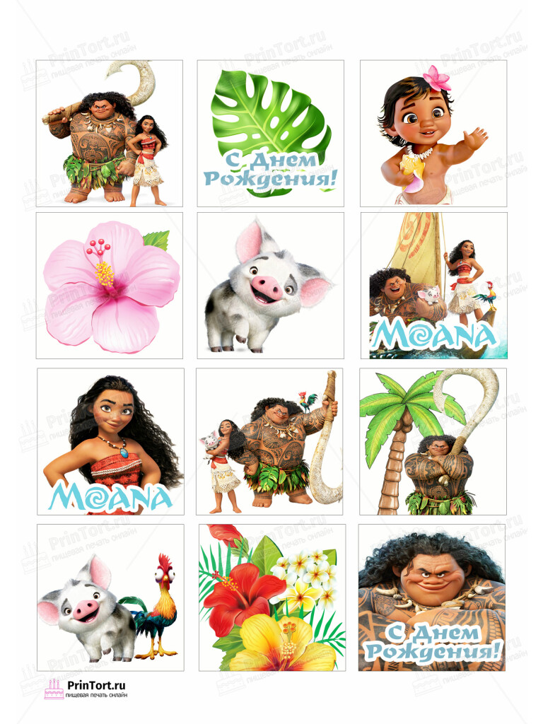 Сахарная и вафельная Картинка для торта Моана «Moana» — PT102549 | Пищевая печать на торте, сахарной, вафельной бумаге -> PrinTort.ru