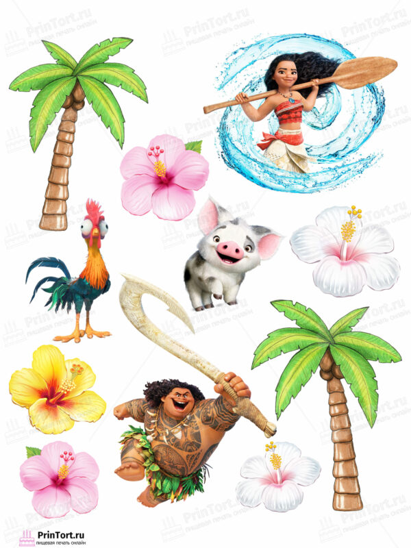 Сахарная и вафельная Картинка для торта Моана «Moana» — PT102552 | Пищевая печать на торте, сахарной, вафельной бумаге -> PrinTort.ru