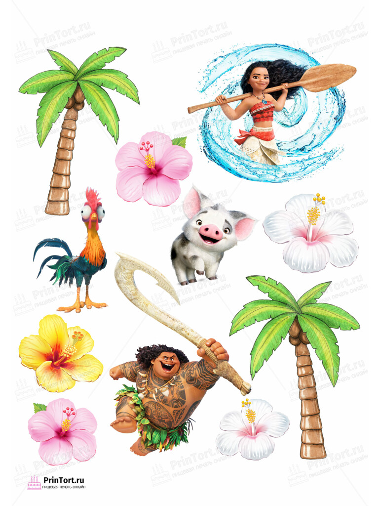 Сахарная и вафельная Картинка для торта Моана «Moana» — PT102552 | Пищевая печать на торте, сахарной, вафельной бумаге -> PrinTort.ru