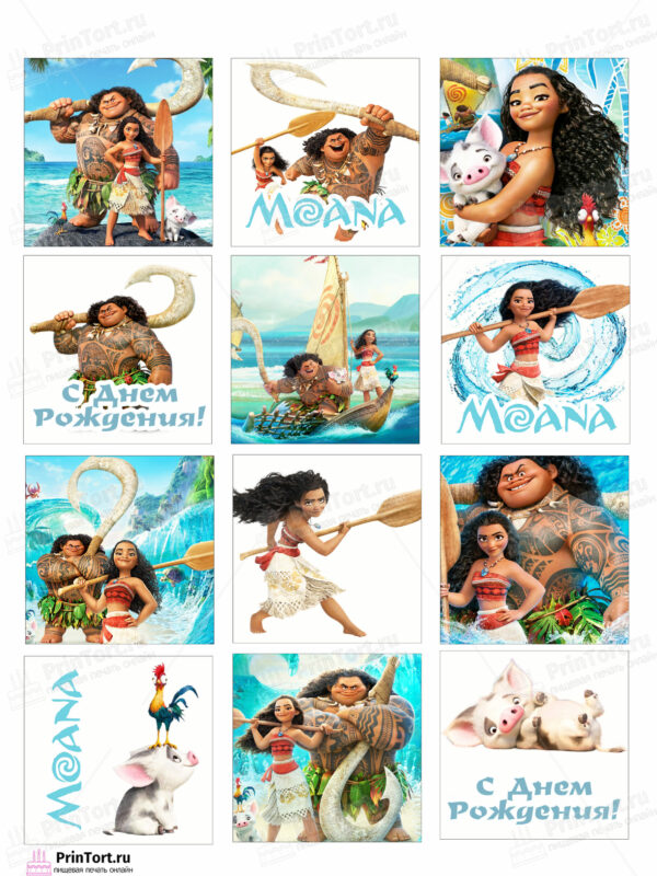 Сахарная и вафельная Картинка для торта Моана «Moana» — PT102554 | Пищевая печать на торте, сахарной, вафельной бумаге -> PrinTort.ru
