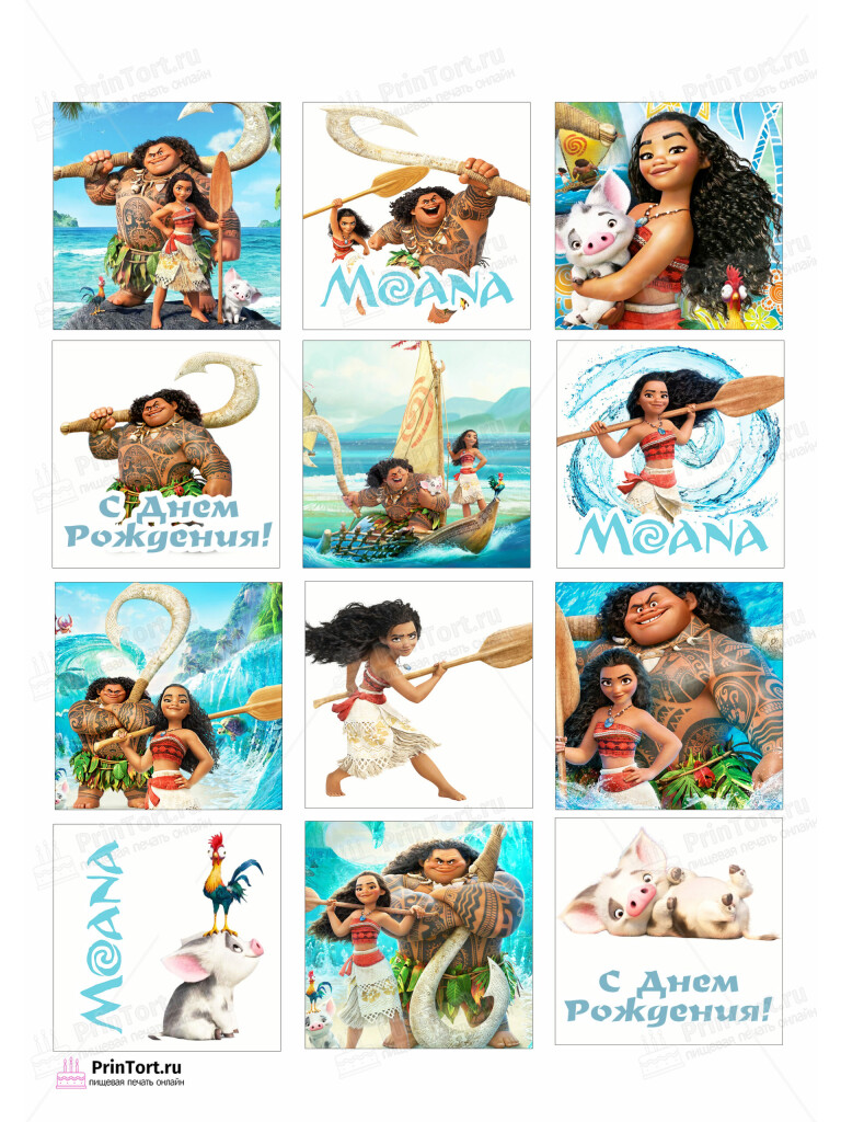 Сахарная и вафельная Картинка для торта Моана «Moana» — PT102554 | Пищевая печать на торте, сахарной, вафельной бумаге -> PrinTort.ru