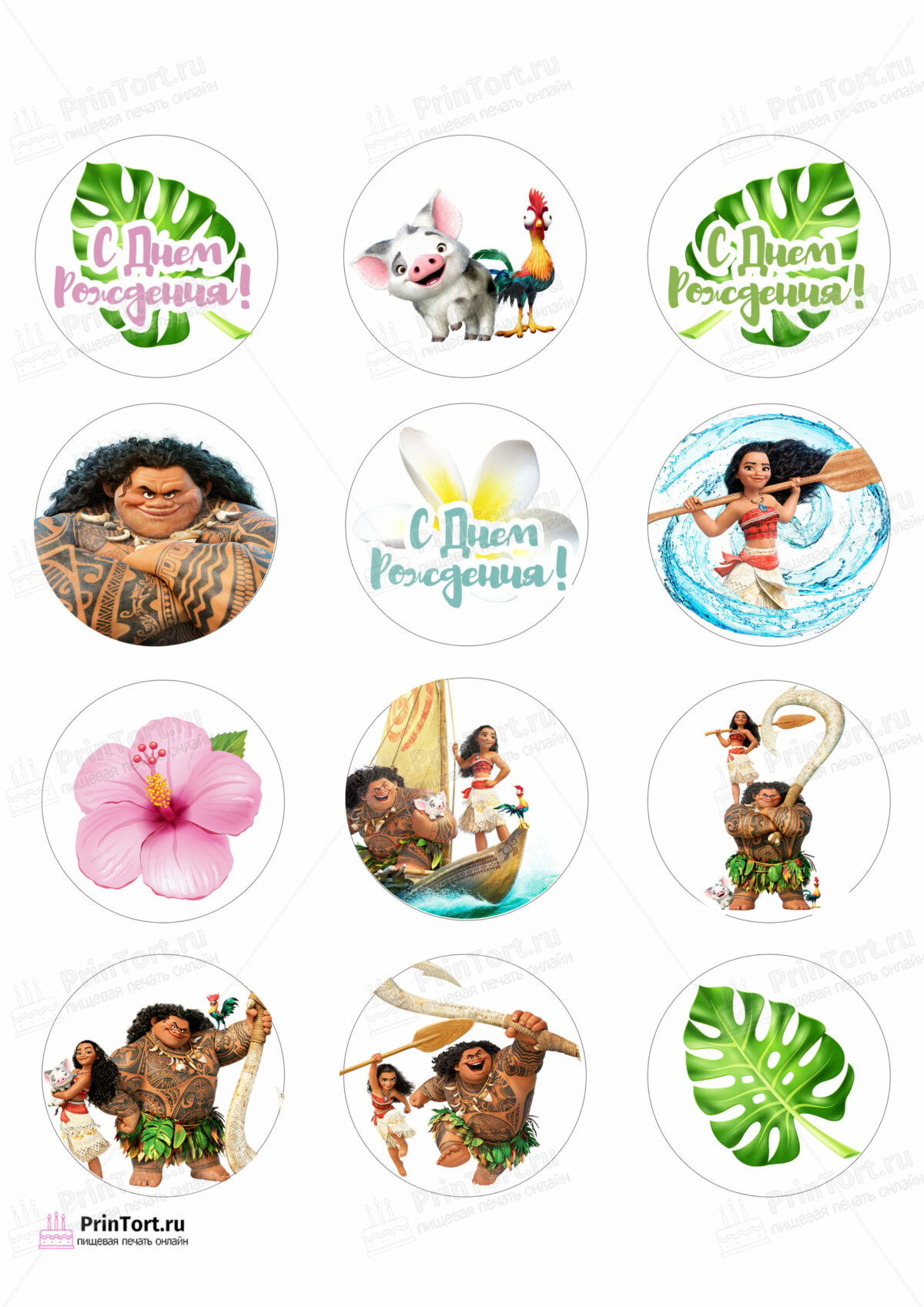 Сахарная и вафельная Картинка для капкейков Моана «Moana» — PT102555 | Пищевая печать на торте, сахарной, вафельной бумаге -> PrinTort.ru