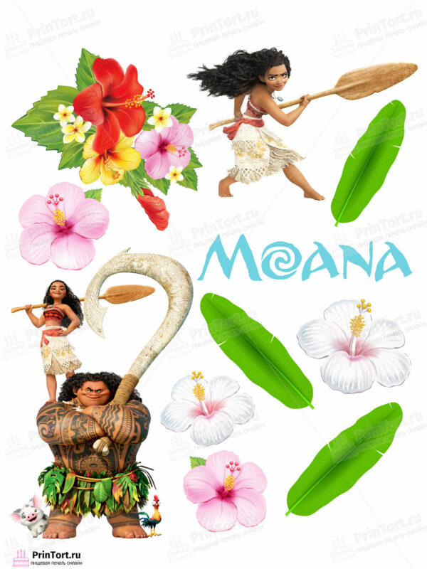 Сахарная и вафельная Картинка для торта Моана «Moana» — PT102557 | Пищевая печать на торте, сахарной, вафельной бумаге -> PrinTort.ru