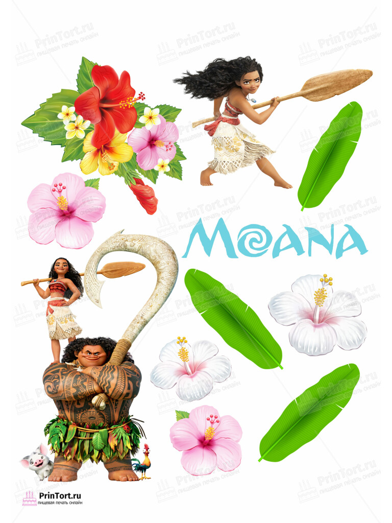 Сахарная и вафельная Картинка для торта Моана «Moana» — PT102557 | Пищевая печать на торте, сахарной, вафельной бумаге -> PrinTort.ru
