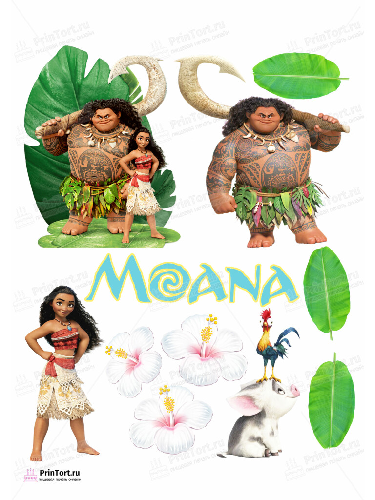 Сахарная и вафельная Картинка для торта  Моана «Moana» — PT102560 | Пищевая печать на торте, сахарной, вафельной бумаге -> PrinTort.ru