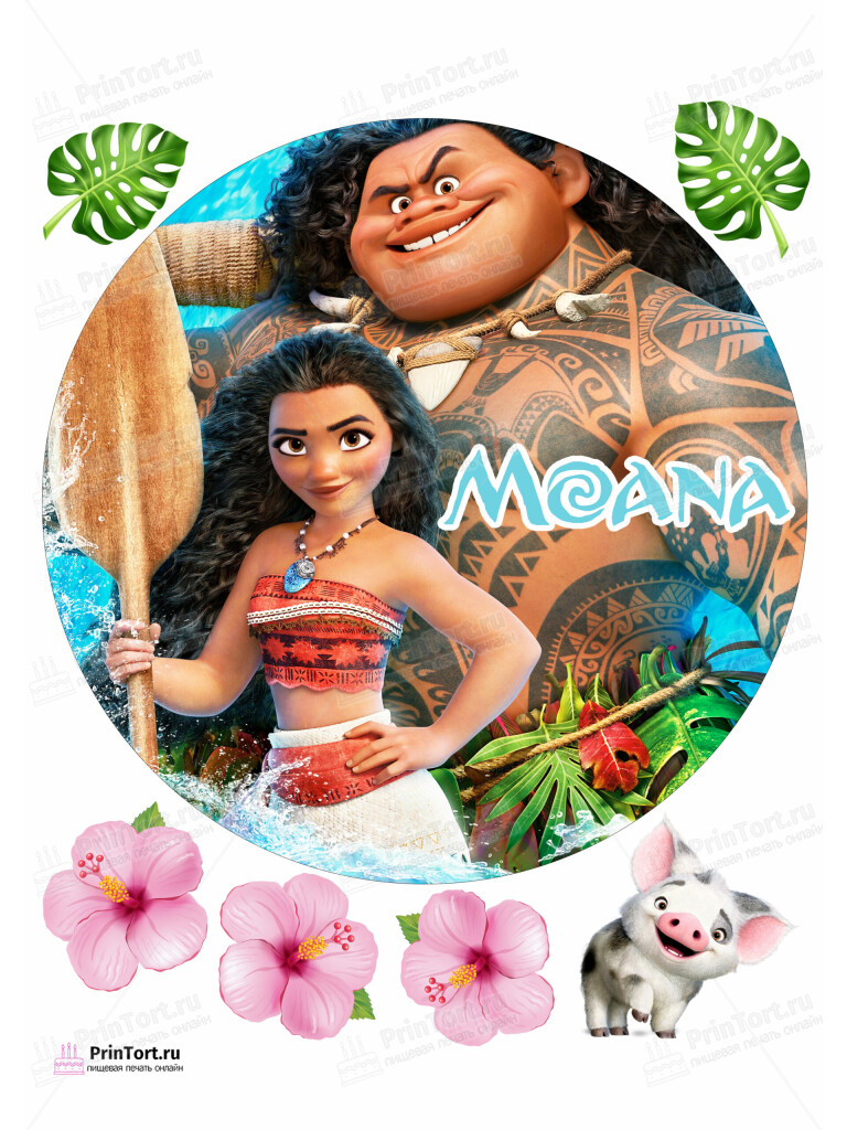 Сахарная и вафельная Картинка для торта  Моана «Moana» — PT102563 | Пищевая печать на торте, сахарной, вафельной бумаге -> PrinTort.ru