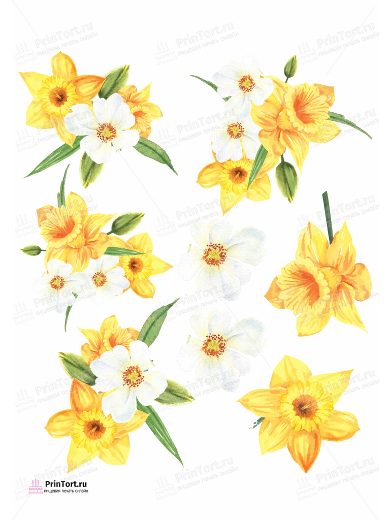 Сахарная и вафельная Картинка для торта «8 Марта» — PT102746 | Пищевая печать на торте, сахарной, вафельной бумаге -> PrinTort.ru