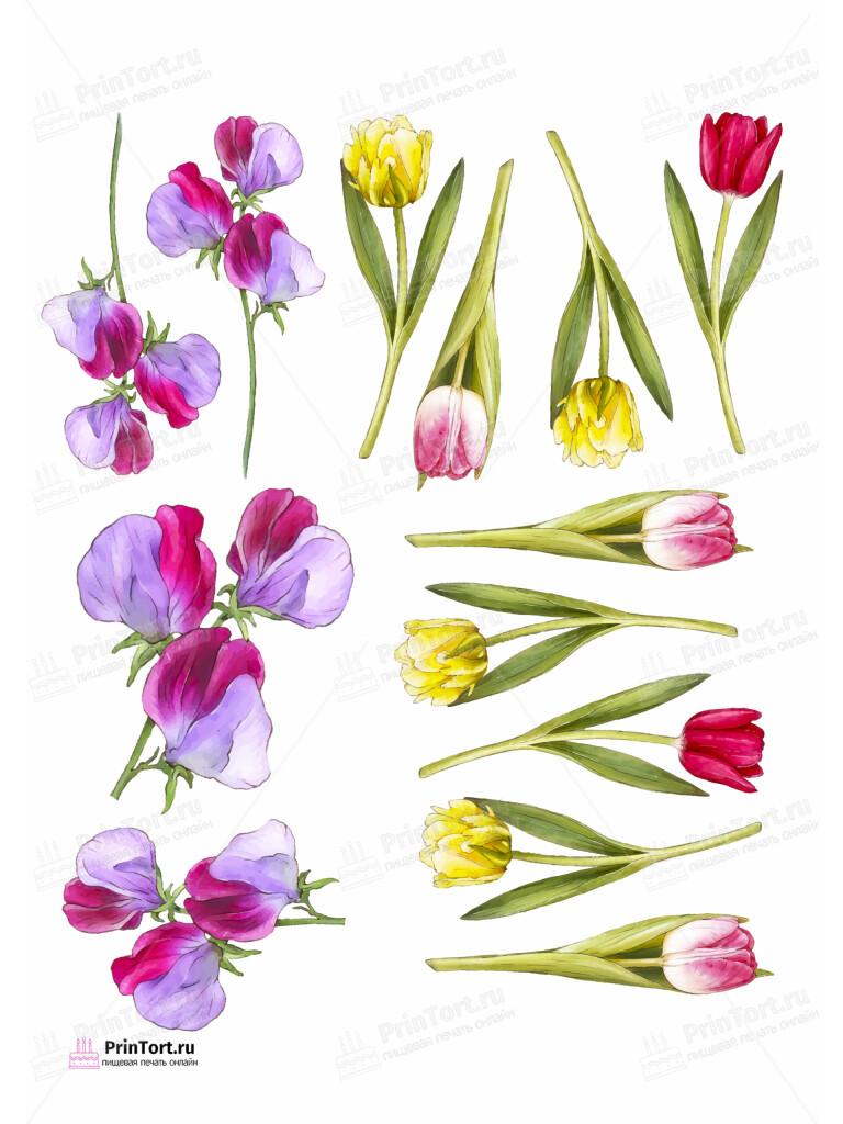 Сахарная и вафельная Картинка для торта «8 Марта» — PT102747 | Пищевая печать на торте, сахарной, вафельной бумаге -> PrinTort.ru