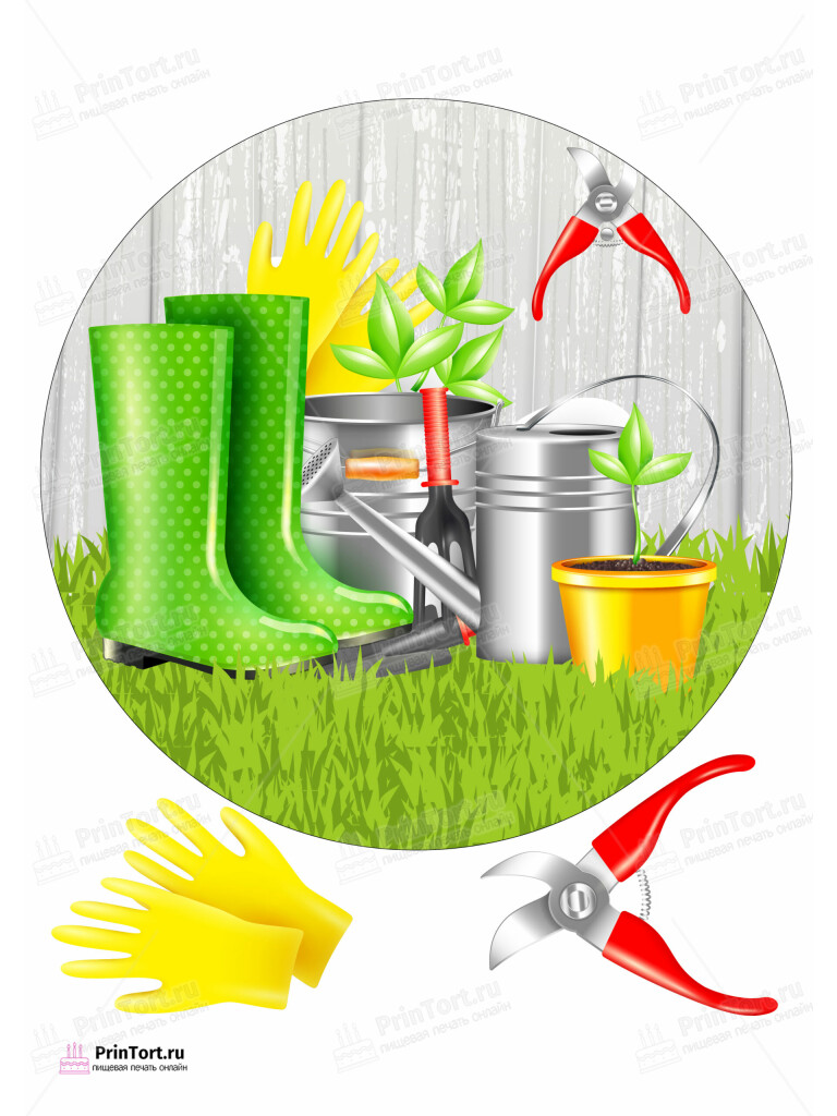 Сахарная и вафельная Картинка для торта  «Огород» — PT103085 | Пищевая печать на торте, сахарной, вафельной бумаге -> PrinTort.ru