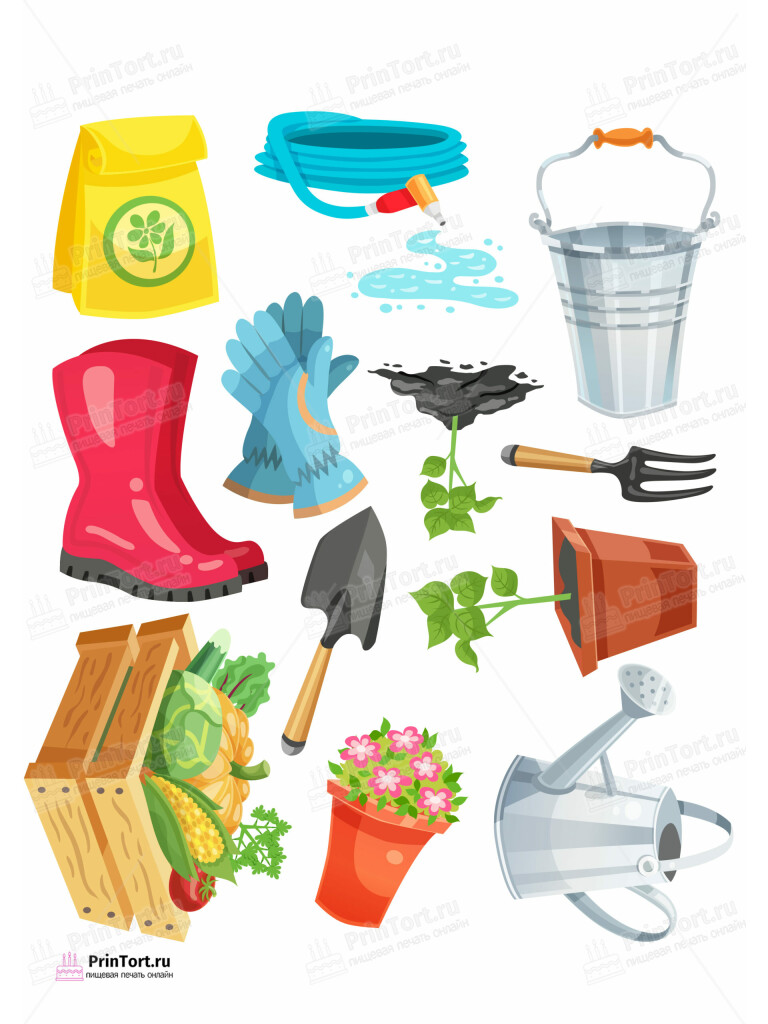 Сахарная и вафельная Картинка для торта «Огород» — PT103096 | Пищевая печать на торте, сахарной, вафельной бумаге -> PrinTort.ru