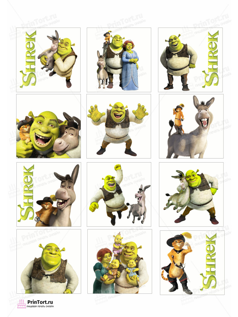 Сахарная, вафельная Картинка для торта «Шрек (Shrek)» — PT103221 | Пищевая печать на торте, сахарной, вафельной бумаге -> PrinTort.ru Сахарная и вафельная Картинка для торта «Шрек (Shrek)» — PT103221 | Пищевая печать на торте, сахарной, вафельной бумаге -> PrinTort.ru