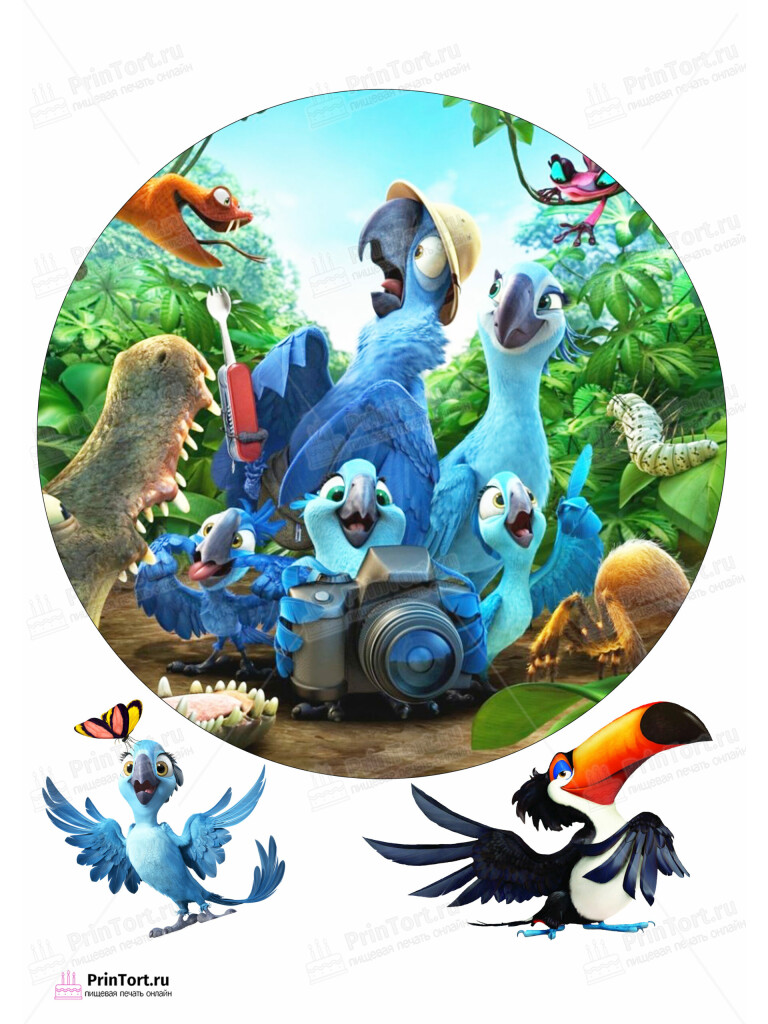 Сахарная и вафельная Картинка для торта «Рио (Rio)» — PT103431 | Пищевая печать на торте, сахарной, вафельной бумаге -> PrinTort.ru