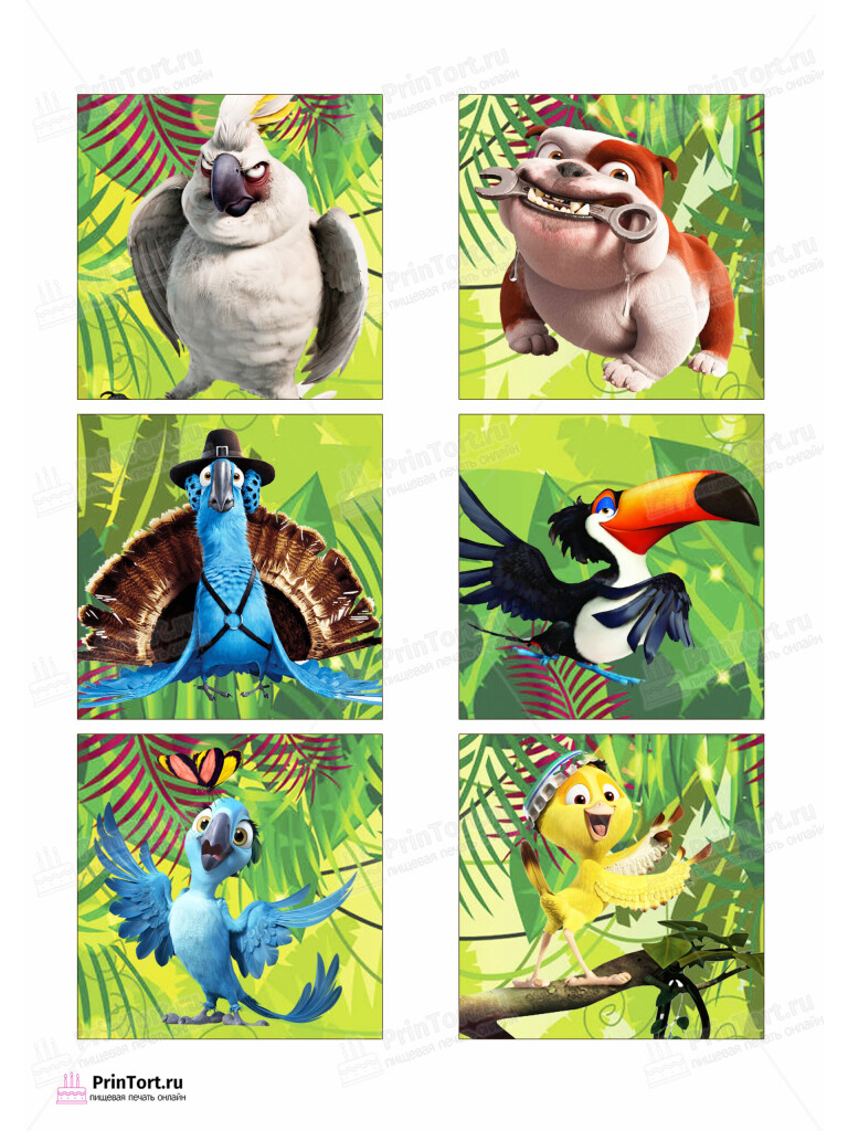 Сахарная и вафельная Картинка для торта «Рио (Rio)» — PT103433 | Пищевая печать на торте, сахарной, вафельной бумаге -> PrinTort.ru