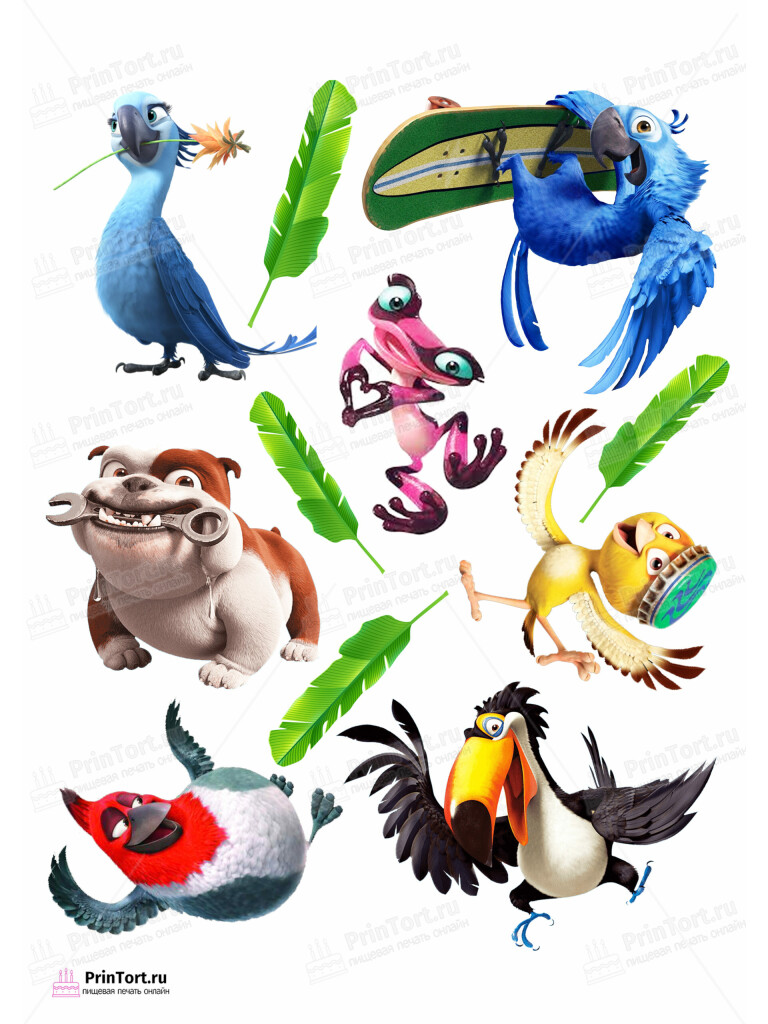 Сахарная и вафельная Картинка для торта «Рио (Rio)» — PT103439 | Пищевая печать на торте, сахарной, вафельной бумаге -> PrinTort.ru