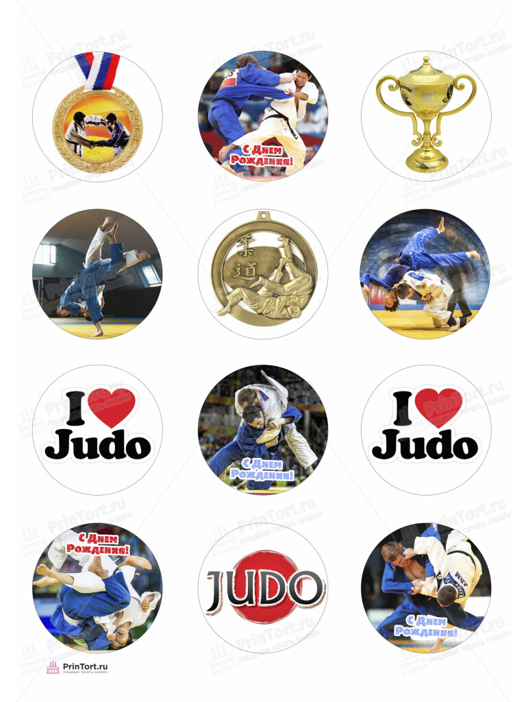Сахарная и вафельная Картинка для торта «Дзюдо» — PT105396 | Пищевая печать на торте, сахарной, вафельной бумаге -> PrinTort.ru