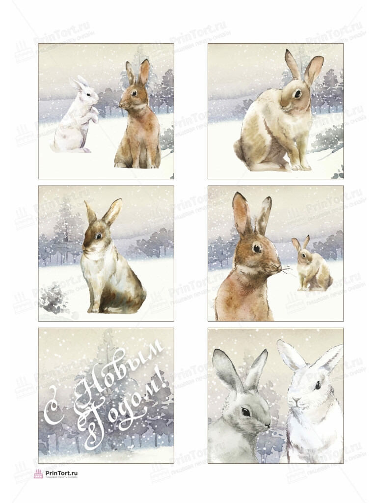 Сахарная и вафельная Картинка для торта «Новый Год» — PT105777 | Пищевая печать на торте, сахарной, вафельной бумаге -> PrinTort.ru