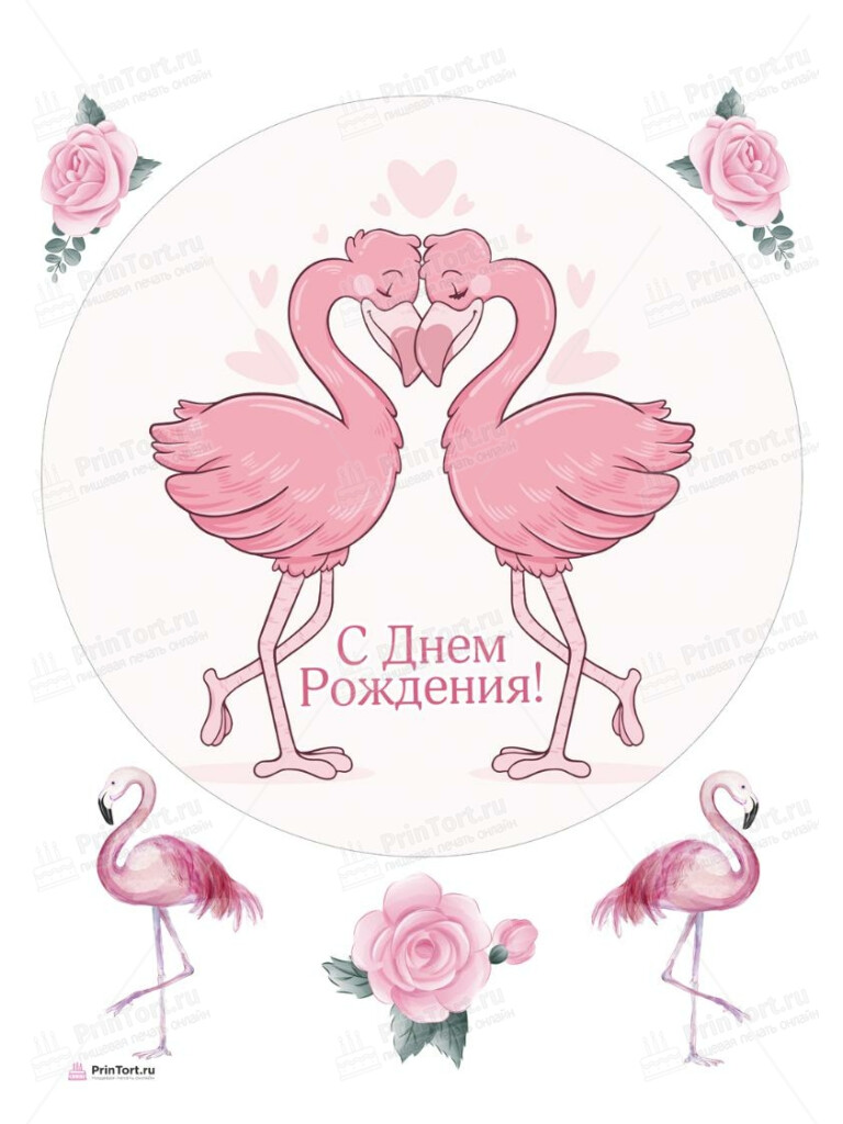 Сахарная, вафельная Картинка для торта «Розовый Фламинго» — PT106975 | Пищевая печать на торте, сахарной, вафельной бумаге -> PrinTort.ru Сахарная и вафельная Картинка для торта «Розовый Фламинго» — PT106975 | Пищевая печать на торте, сахарной, вафельной бумаге -> PrinTort.ru